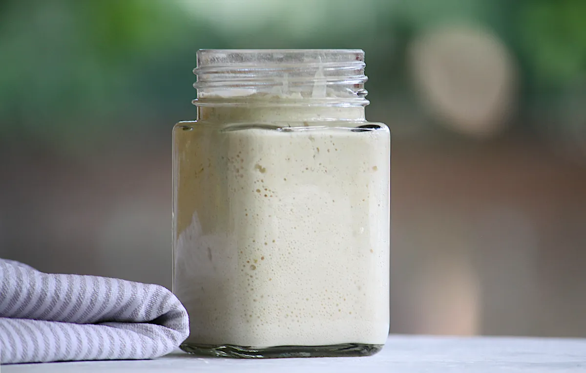 the best container for sourdough starter