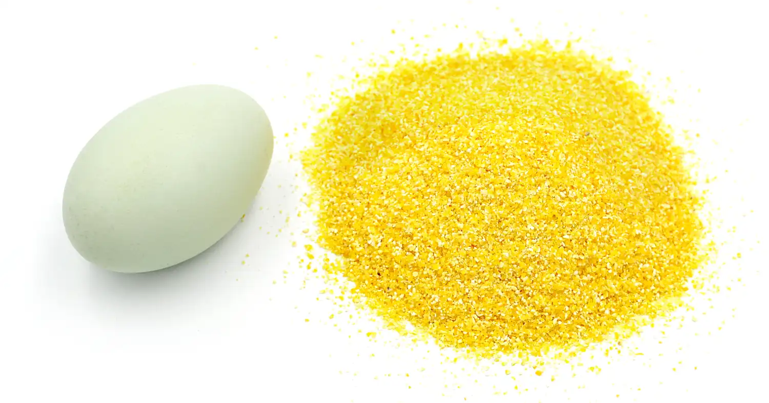 eggs substitute for cornbread